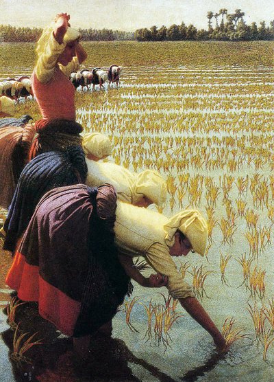 Un campo de arroz italiano, 1901 de Angelo Morbelli